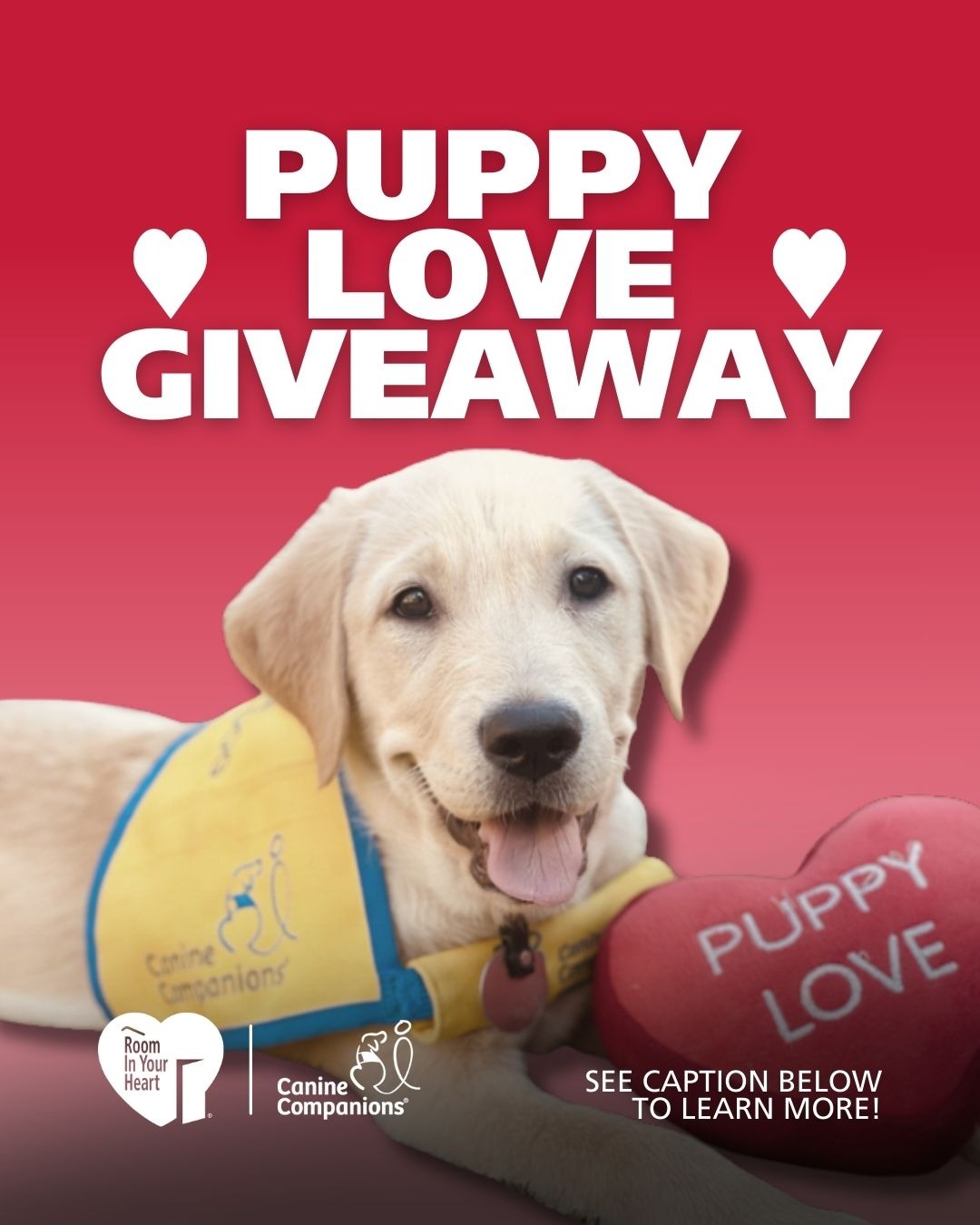 Puppy Love Giveaway