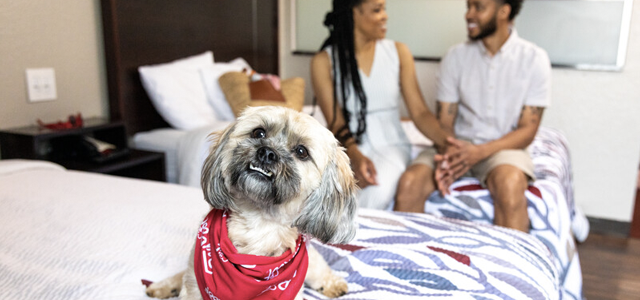 Pets Stay Free at Red Roof