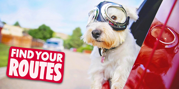 Find Your Routes Pet
