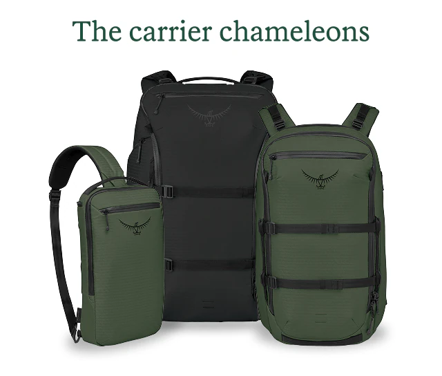 The carrier chameleons