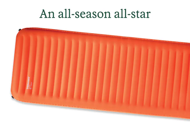 An all-season all-star