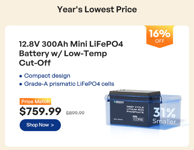 12.8V 300Ah Mini LiFePO4 Battery w/ Low-Temp Cut-Off