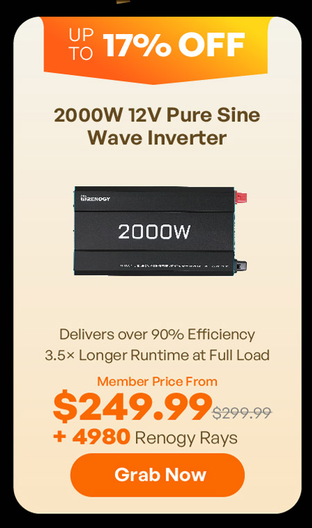 2000W 12V Pure Sine Wave Inverter