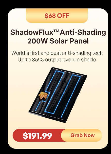 ShadowFlux™ N-Type Anti-Shading 200W Solar Panel