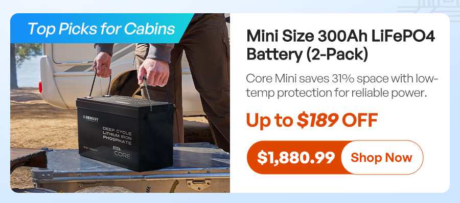 Mini Size 300Ah LiFePO4 Battery (2-Pack)