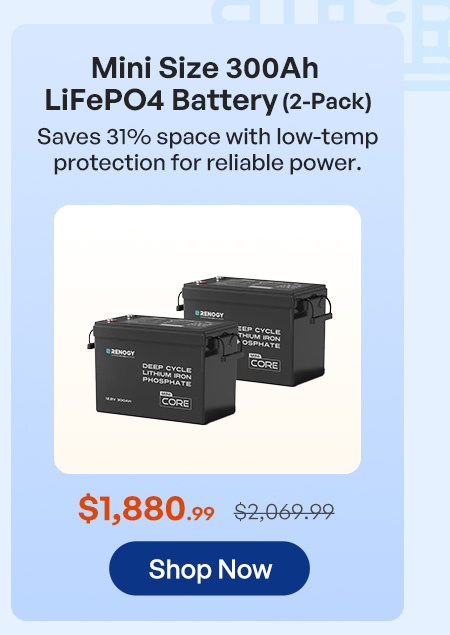 Mini Size 300Ah LiFePO4 Battery （2-Pack）
