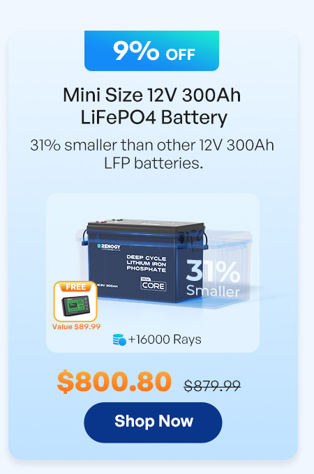 Mini Size 12V 300Ah LiFePO4 Battery