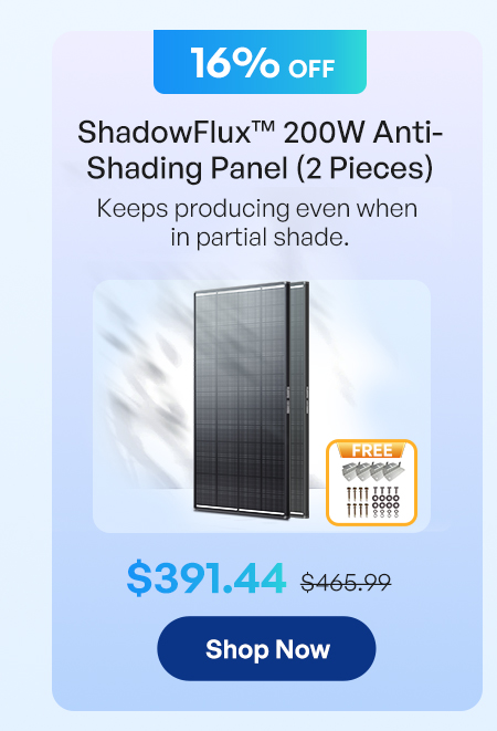 ShadowFlux™ 200W Anti-Shading Panel（2 Pieces）