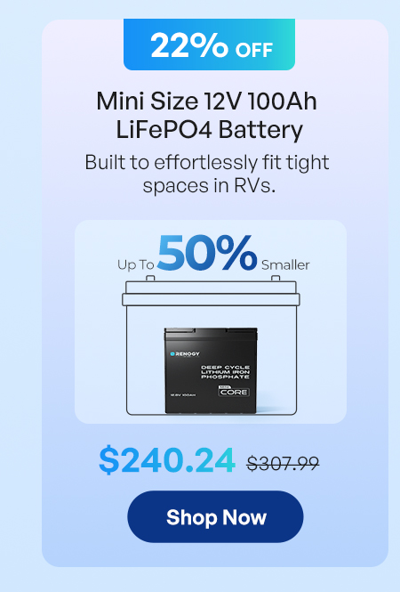 Mini Size 12V 100Ah LiFePO4 Battery