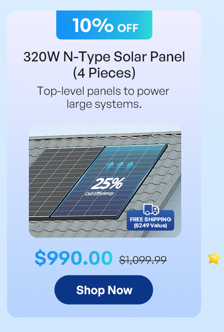 320W N-Type Solar Panel（2 Pieces）