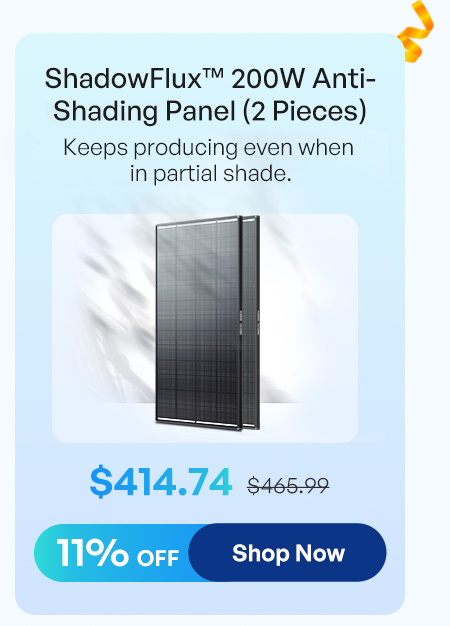 ShadowFlux™ 200W Anti-Shading Panel（2 Pieces）