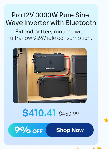 Pro 12V 3000W Pure Sine Wave Inverter with Bluetooth