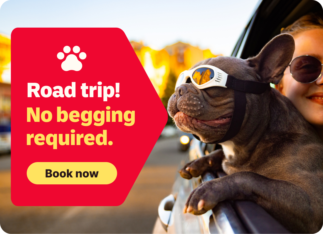 Road trip! No begging required. Book now