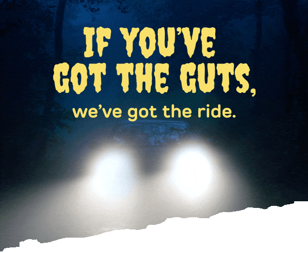 If you've got the guts, we've got the ride.