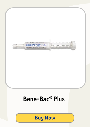 Bene-Bac® Plus