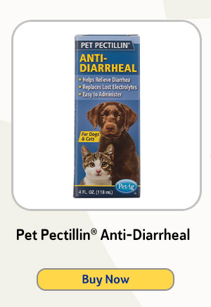 Pet Pectillin® Anti-Diarrheal