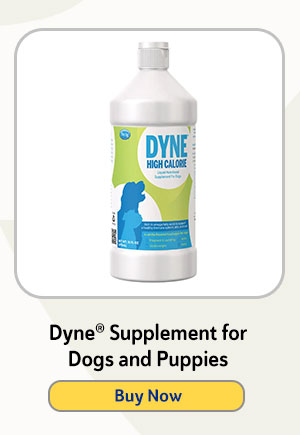 Dyne® Supplement for Dogs and Puppies