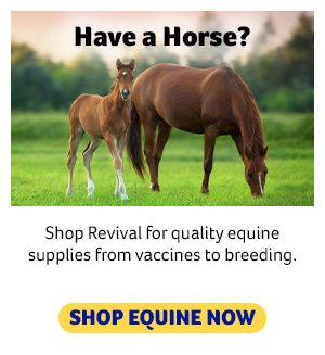 Have a Horse?