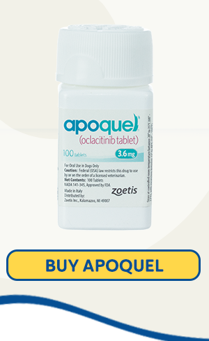 Buy Apoquel Now 