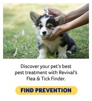 Flea & Tick Finder