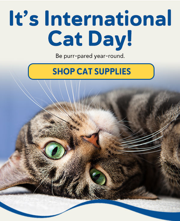 It’s International Cat Day