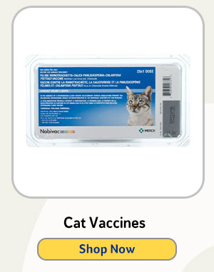 Cat Vaccines