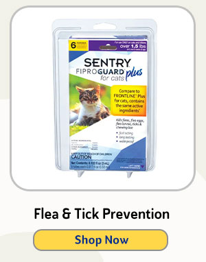 Flea & Tick Prevention