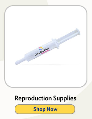 Reproduction Supplies