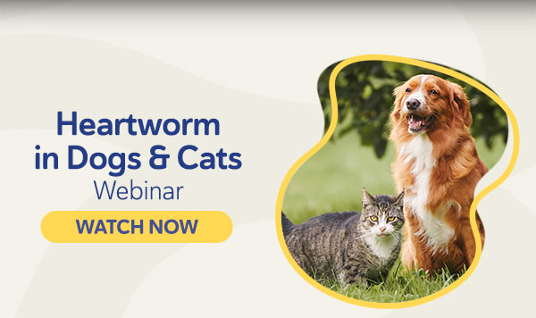 Heartworm in Dogs Webinar