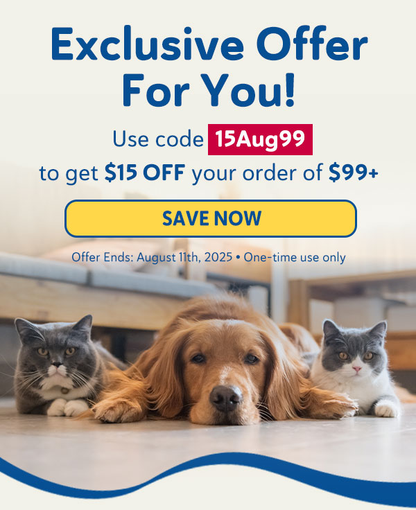 Exclusive Offer For You