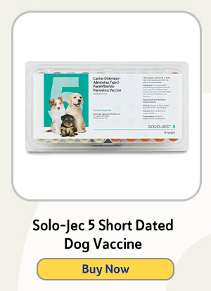 Solo-Jec 5 Short Dated Dog Vaccine
