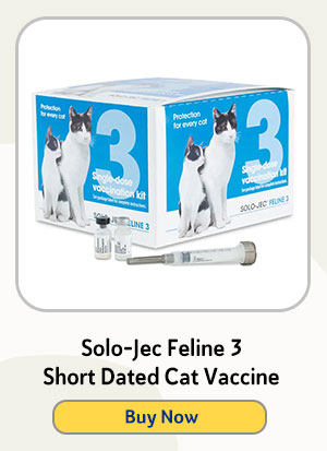 Solo-Jec Feline 3 Short Dated Cat Vaccine