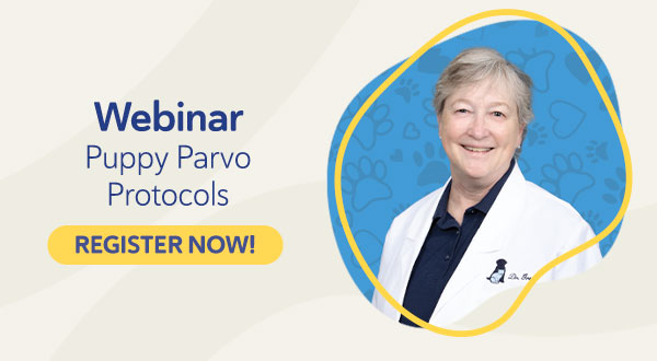 Puppy Parvo Protocols Webinar- Register Now!