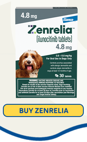 Buy Zenrelia Now 