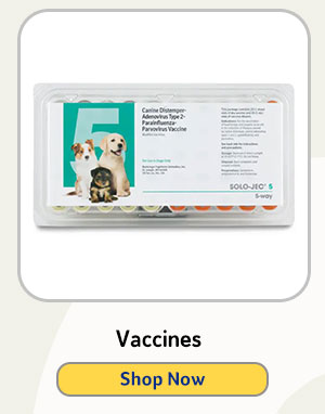 Vaccines