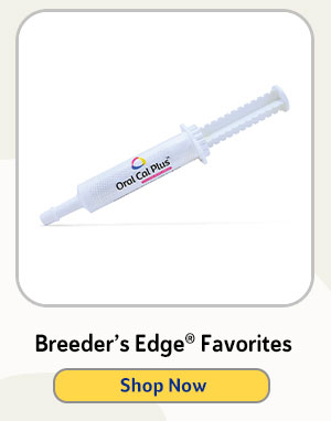 Breeder’s Edge® Favorites