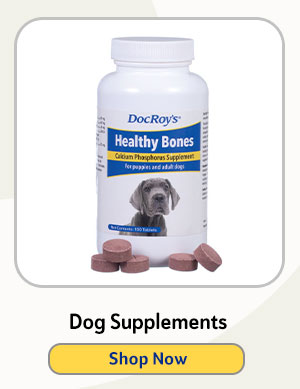 Dog Supplements