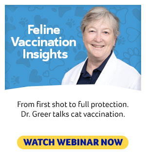 Feline Vaccine Webinar