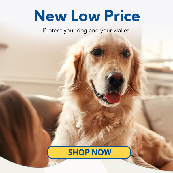 New Low Price
