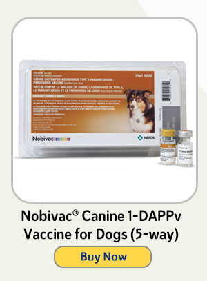 Nobivac® Canine 1-DAPPv Vaccine for Dogs (5-way) 