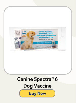 Canine Spectra® 6 Dog Vaccine