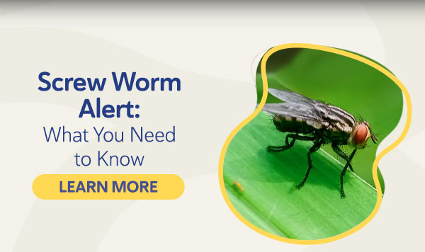 Screw Worm Alert: What You Need to Know