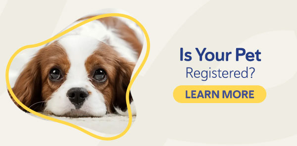 Is Your Pet Registered?