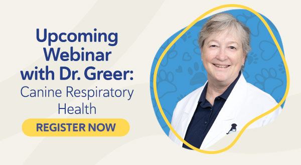 Upcoming Canine Respiratory Health Webinar with Dr. Greer