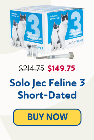 Buy Now Solo Jec Feline 3 Short-Dated