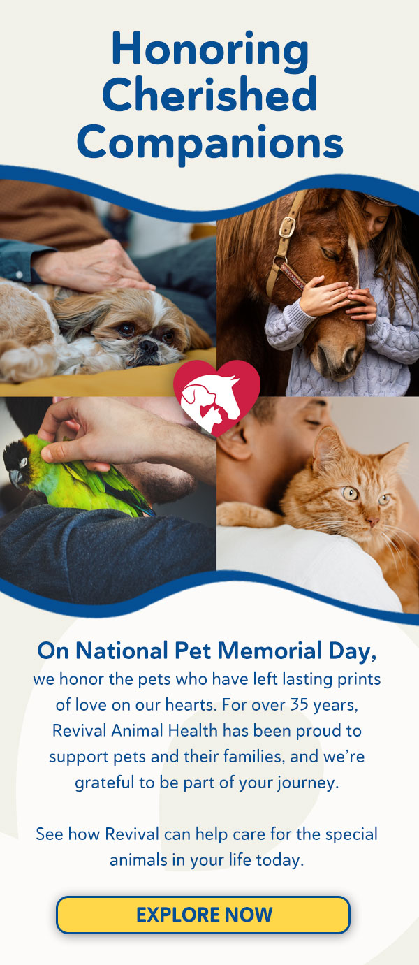 Honoring Cherished Companions