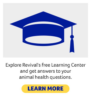 Revival’s free Learning Center