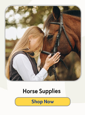 Shop Horse Supplies