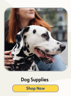 Shop Dog Supplies