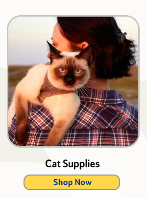 Shop Cat Supplies